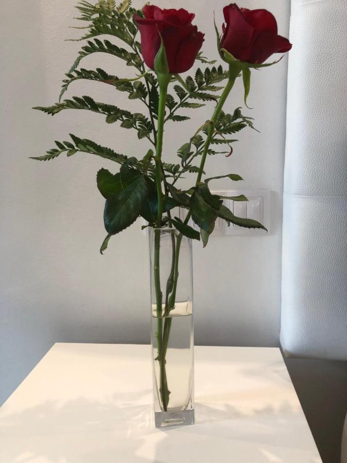 푸에르토 드 라 크루즈 La Perla 아파트 외부 사진